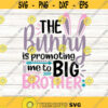 The Bunny Is Promoting Me To Big Brother Svg Easter Svg Easter Bunny Svg Boys Easter Svg silhouette cricut cut files svg dxf eps png .jpg