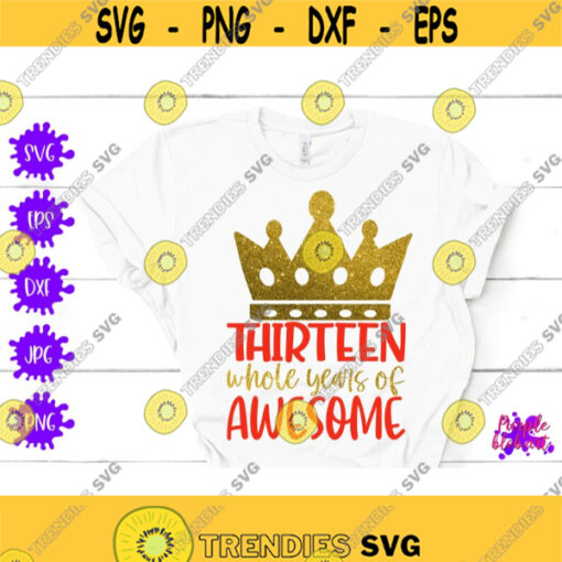 Thirteen whole year of awesome 13th birthday Shirt Thirteenth birthday SVG Teenager birthday girl Official teenager Teen birthday party PNG Design 333
