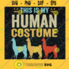 This Is My Human Costume Camel Svg Camel Human Costume SvgHalloween Camel Svg Camel Gift