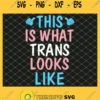 This Is What Trans Looks Like Transgender Lgbt Pride SVG PNG DXF EPS 1