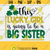 This Lucky Girl Is Going To Be A Big Sister St. Patricks Day Baby Announcement Big Sister Announcement St. Patricks Day Big Sister SVG Design 624