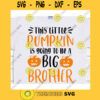 This little pumpkin is going to be big brother svgPromoted to big brother svgHalloween shirt svgFunny halloween svgHalloween 2020 svg