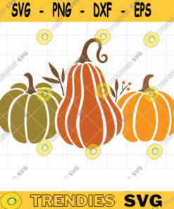 Three Pumpkins Svg, Fall Thanksgiving Harvest Pumpkins Svg, Three Pumpkins Png Clipart, Autumn Fall Harvest, Svg Dxf Png Cut File Clipart