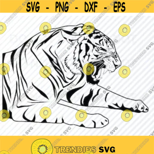 Tiger 3 SVG Files For Cricut Black White Transfer Vector Images Tiger Clip Art SVG Files Eps Png dxf Stencil ClipArt Silhouette Design 434
