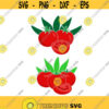 Tomatoes Cuttable Design SVG PNG DXF eps Designs Cameo File Silhouette Design 1910