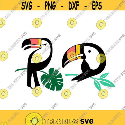 Toucan Bird Cuttable Design SVG PNG DXF eps Designs Cameo File Silhouette Design 599