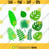Tropical Leaves svg 8 Jungle Tropical Leaves Leaf svg Banana Leaves svg Tropical Leaves clipart Cut files svg dxf pdf png
