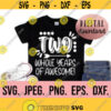 Two Whole Years Of Being Awesome SVG Second Birthday Boy Shirt SVG Instant Download png jpeg Cricut Cut File 2nd Birthday Boy svg Design 488