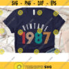 Vintage 1987 svg vintage birthday svg 1987 Clipart 33th birthday svg downloadable files PNG SVG Vintage 1987 Sublimation designs PNG