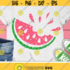 Watermelon Svg Grunge Watermelon Svg Summer Svg Distressed Watermelon Svg Dxf Eps Girls Shirt Design Silhouette Cricut Cut Files Design 1970 .jpg
