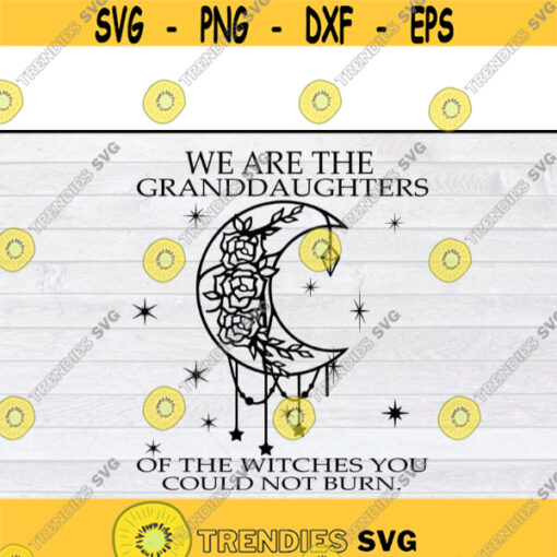 We Are The Granddaughters Of The Witches You Could Not Burn Halloween svg files for cricutDesign 270 .jpg
