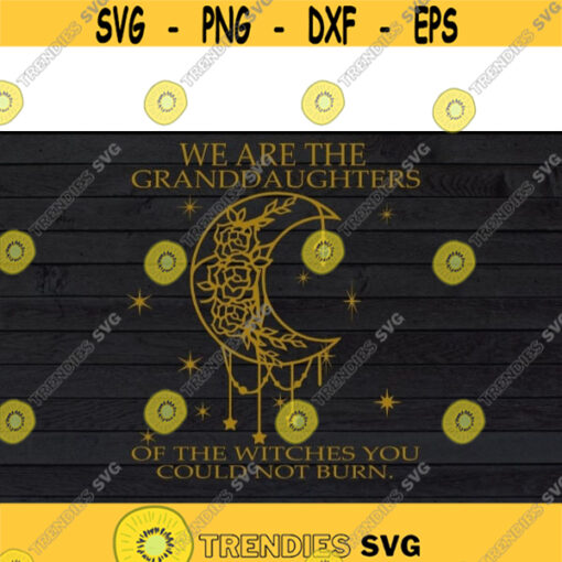We Are The Granddaughters Of The Witches You Could Not Burn Halloween svg files for cricutDesign 287 .jpg