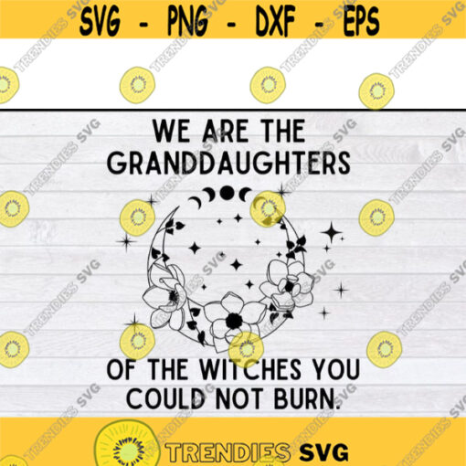 We Are The Granddaughters Of The Witches You Could Not Burn svg files for cricutDesign 331 .jpg