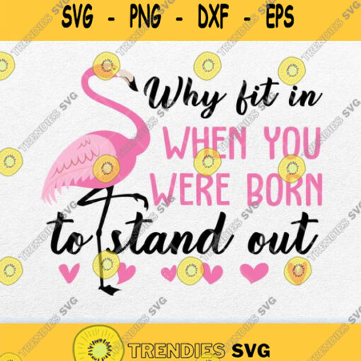 Why Fit In When Born To Stand Out Flamingo Svg Png