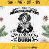 Witch We Are The Grandaughter Svg We Are The Grandaughters Of The Witches You Couldnt Burn Svg Witches Svg Halloween Svg