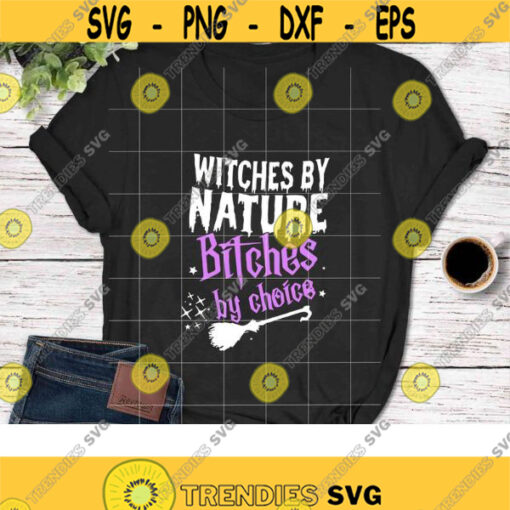 Witches By Nature Bitches By Choice Svg Halloween Witch Svg Halloween Svg Halloween Gift Svg Cricut File Clipart SVg Png Eps Dxf Design 729 .jpg