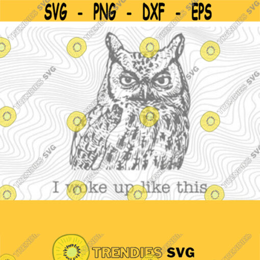 Woke Up Like This PNG Print File for Sublimation Or SVG Cutting Machines Cameo Cricut Sarcastic Humor Sassy Humor Funny Trendy Humor Design 105