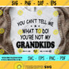 You Cant Tell Me What To Do Youre Not My Grandkids svgGrandma svgGrandpa svgFathers Day svgDigital DownloadPrintSublimation Design 149