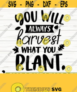 You Will Always Harvest What You Plant Happy Fall Svg Fall Quote Svg October Svg Autumn Svg Farm Svg Farmhouse Fall Svg Fall Sign Svg Design 509