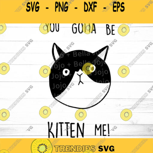 You gotta be Kitten me SVG SVG Dxf Eps Jpeg Png Ai Pdf Cut File kitten svg funny kitten T shirt graphic kitten cartoon svg