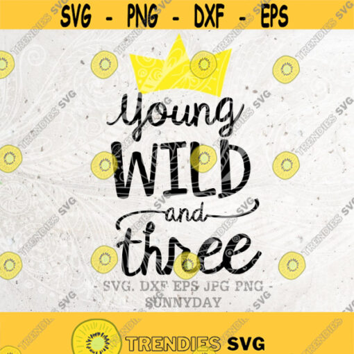 Young Wild and Three SVG3rd BirthdayThird BirthdayThree years oldDXF Silhouette Print Vinyl Cricut Cutting SVG T shirt DesignBirthday Design 451