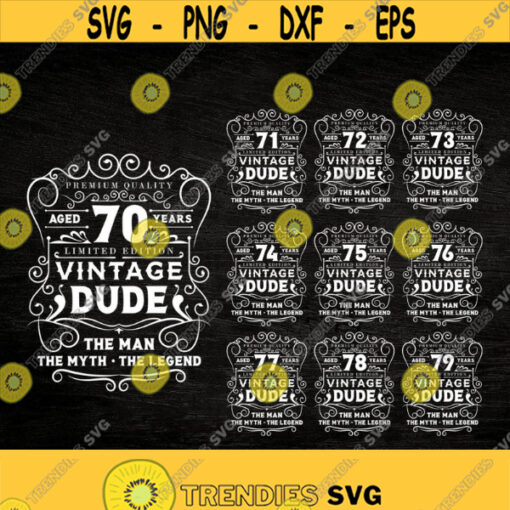 bundle svg Vintage Dude 70 79 1970s birthday svg Vintage 70s svg dad svg birthday gift cricut file Design 284