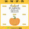 dont eat pumpkin seeds svg halloween maternity shirt ideas