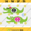 gat svg Alligator svg Crocodile monogram svg Kids svg Zoo Animal svg Gator svg iron on Birthday boy svg SVG DXF eps png pdf Design 326