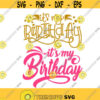 its my Birthday party Cuttable Design SVG PNG DXF eps Designs Cameo File Silhouette Design 1023