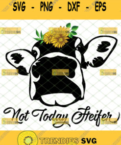 not today heifer svg cow face with sunflower svg