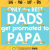 only the best dads get promoted to papa svg fathers day picture frame and coffee mug design ideas