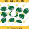 palm leaf wrap for starbucks venti cup png svg dxf digital file Design 29