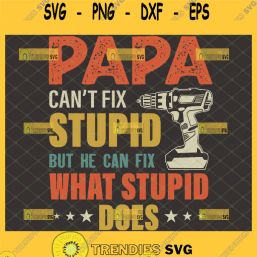 papa cant fix stupid but he can fix what stupid does svg funny sarcastic dad svg fathers day gifts