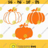pumpkin svg fall svg fall pumpkin svg Halloween svg fall svg CriCut Files svg jpg png dxf Silhouette cameo Design 302