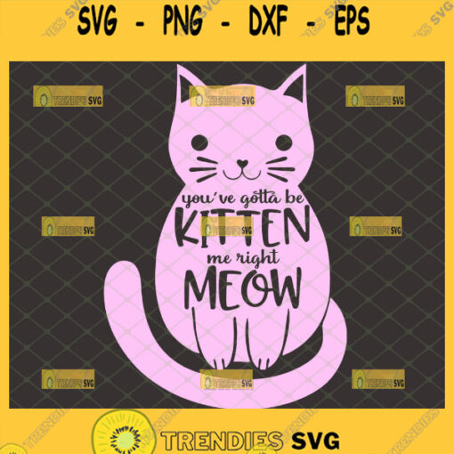 youve gotta be kitten me right meow svg cat lover cricut gifts